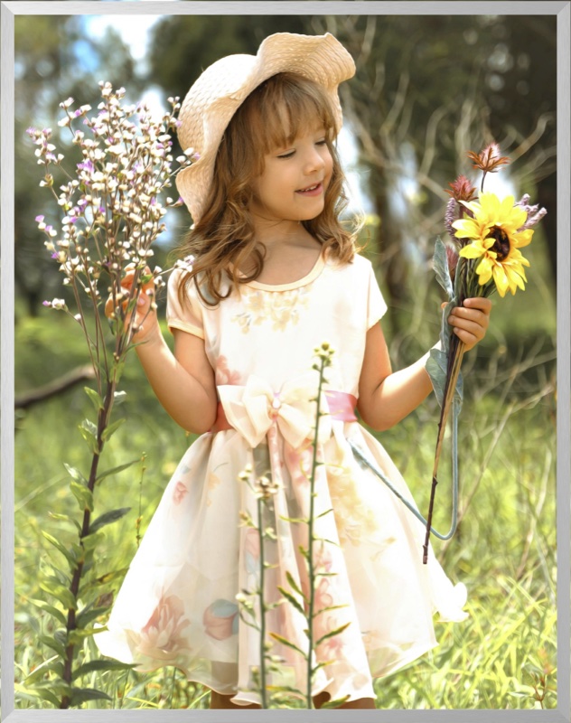 Framed print example